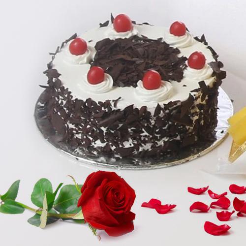 Sumptuous Black Forest Cake N Red Rose Sumptuous Black Forest Cake N Red Rose