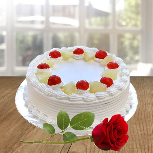Extraordinary Vanilla Cake and a Fresh Red Rose Extraordinary Vanilla Cake and a Fresh Red Rose