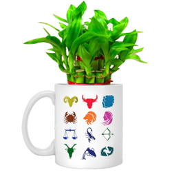 Cheerful Set of Lucky Bamboo Tree in Sun sign Mug