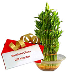 Exclusive Combo of Mainland China Gift E Voucher worth Rs.1000 and Lucky Bamboo Plant in Bowl Exclusive Combo of Mainland China Gift E Voucher worth Rs.1000 and Lucky Bamboo Plant in Bowl