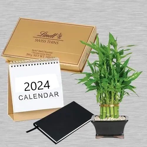 Splendid Gift of Lucky Bamboo with Lindt N Pocket Dairy