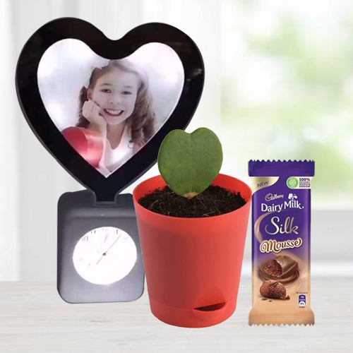Spectacular V-day Gift of Personalized Photo Heart Lamp Clock with Hoya Plant n <br>Mousse Chocolate Spectacular V-day Gift of Personalized Photo Heart Lamp Clock with Hoya Plant n <br>Mousse Chocolate