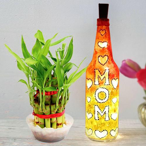 2 Tier Lucky Bamboo Plant with Handcrafted LED Lighting Bottle Lamp for Mom 2 Tier Lucky Bamboo Plant with Handcrafted LED Lighting Bottle Lamp for Mom