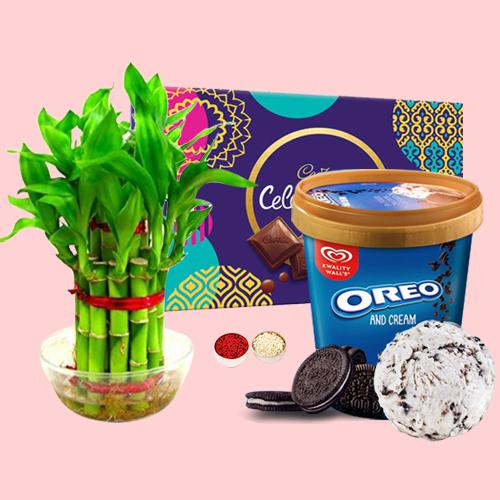 Pious Combo of Lucky Bamboo Plant Kwality Walls Oreo Ice Cream n Chocolates