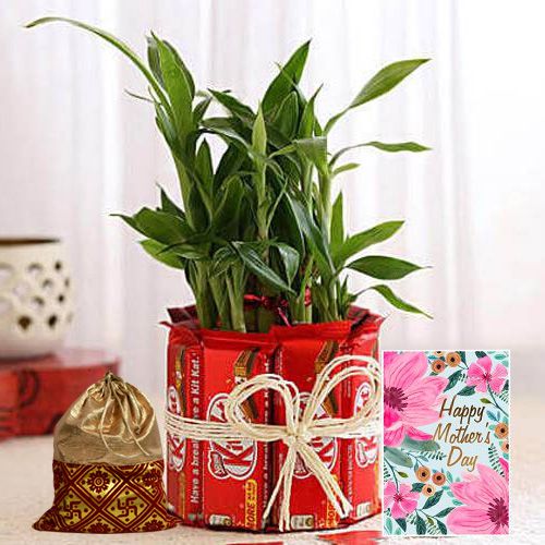 Beautiful Bamboo Plant N Kitkat Arrangement with Dry Fruit Potli N Moms Day Card