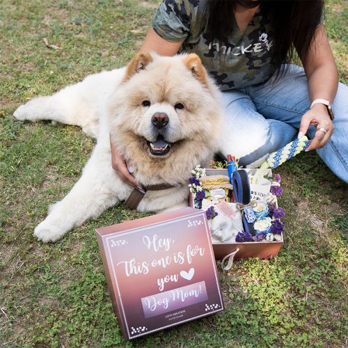 Thoughtful Treasures for Pet Enthusiasts Thoughtful Treasures for Pet Enthusiasts