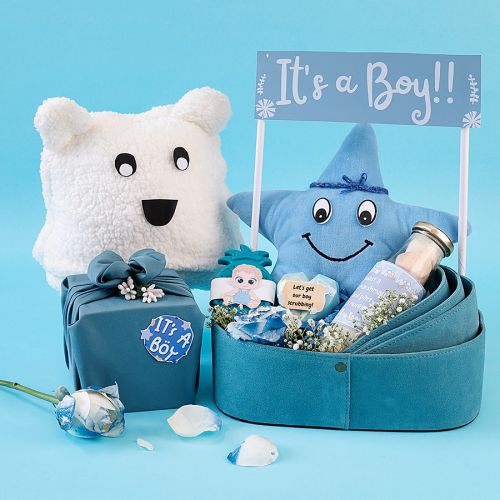 Delightful Newborn Essentials for Boys Delightful Newborn Essentials for Boys