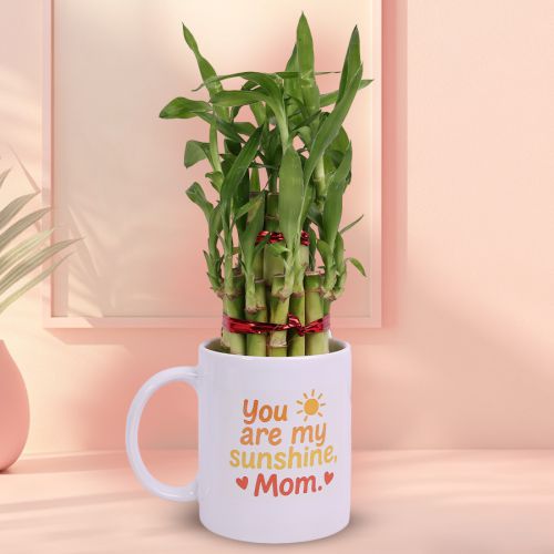 Lucky Bamboo N Sunshine Mug Gift Lucky Bamboo N Sunshine Mug Gift
