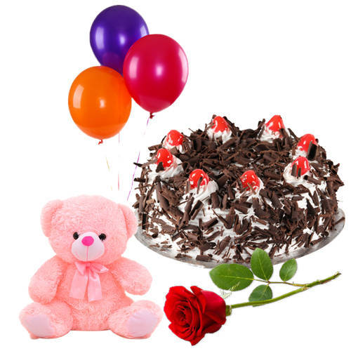 Special Rose with Black Forest Cake Teddy and Balloons Special Rose with Black Forest Cake Teddy and Balloons