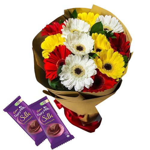 Arrangement of Assorted Gerberas with Dairy Milk Silk Arrangement of Assorted Gerberas with Dairy Milk Silk