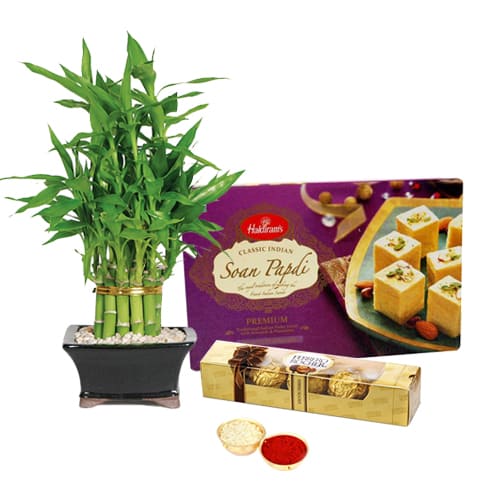 Ferrero Rocher Chocos N Bamboo Plant with Soan Papdi