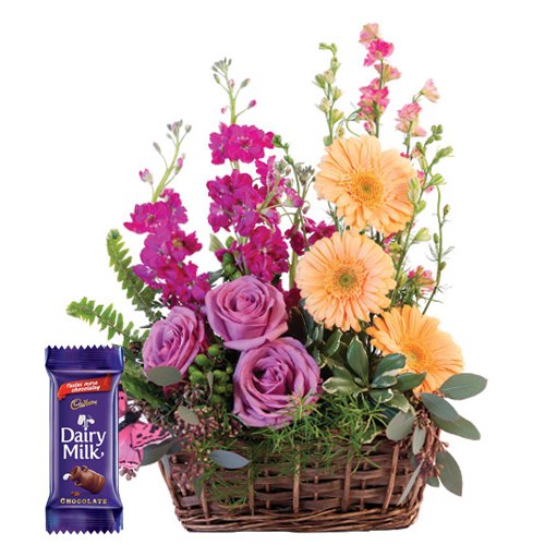 Fresh Flowers N Cadbury Dairy Milk Chocolate Fresh Flowers N Cadbury Dairy Milk Chocolate