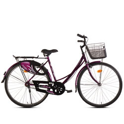 Heart Alluring BSA Ladybird Dreamz (Junior) Bicycle<br><br> Heart Alluring BSA Ladybird Dreamz (Junior) Bicycle<br><br>
