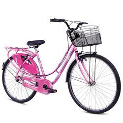 Effervescent BSA Ladybird Splash Bicycle<br> Effervescent BSA Ladybird Splash Bicycle<br>
