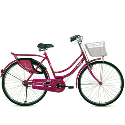 Make My Day BSA Rangoli Bicycle<br> Make My Day BSA Rangoli Bicycle<br>