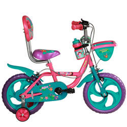 Tech Fondled SBSA Champ Dora Bicycle Tech Fondled SBSA Champ Dora Bicycle