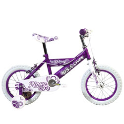 Delightful and Trotting BSA Champ Ringo Bicycle Delightful and Trotting BSA Champ Ringo Bicycle
