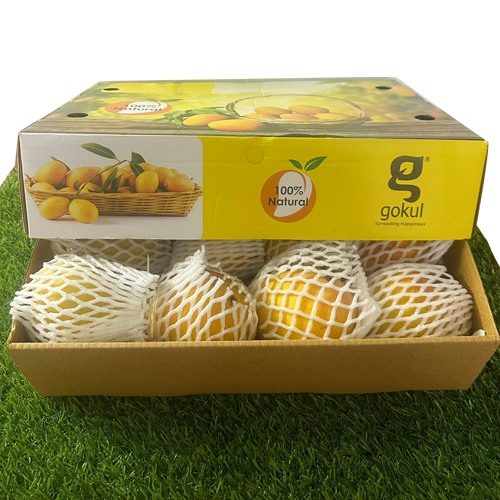 Delectable Alphonso Mango Cart Delectable Alphonso Mango Cart