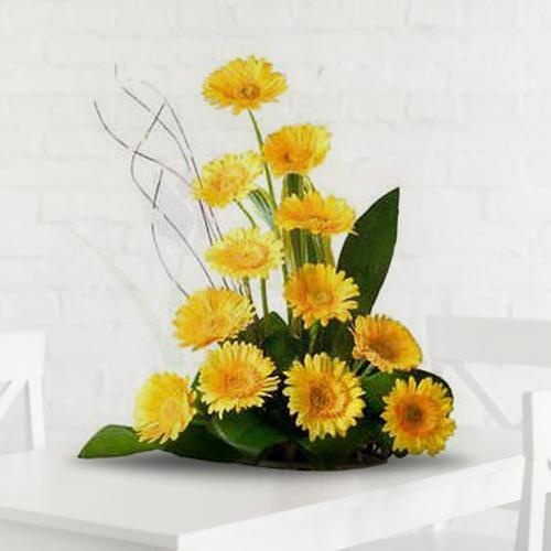 Beautiful 12 Gerberas Arrangement Beautiful 12 Gerberas Arrangement