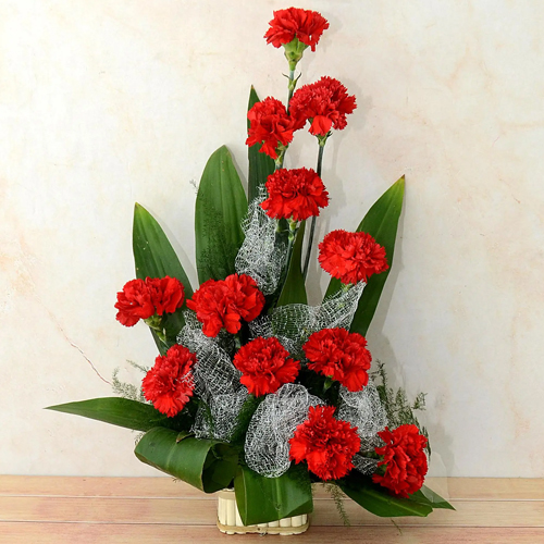 Wonderful Arrangement of Carnations Wonderful Arrangement of Carnations