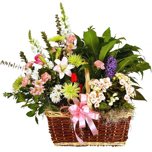 Basket Arrangement of Mixed Florals Basket Arrangement of Mixed Florals