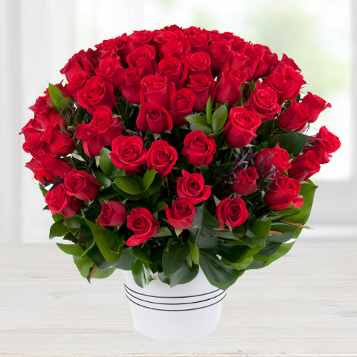Fresh Arrangement of Dutch Roses Fresh Arrangement of Dutch Roses