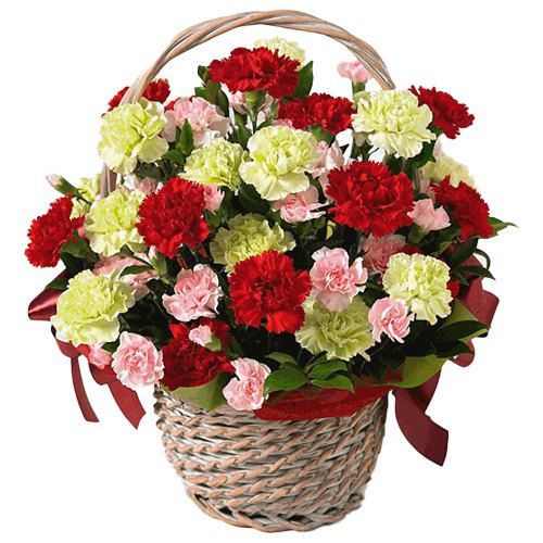 Gift of Mixed Carnations in a Basket Gift of Mixed Carnations in a Basket