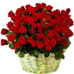 Arrangement of Dutch Roses Arrangement of Dutch Roses
