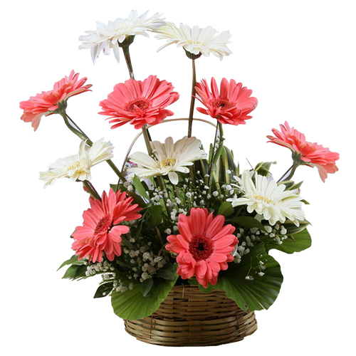 Lovely Mixed Gerberas Arrangement Lovely Mixed Gerberas Arrangement