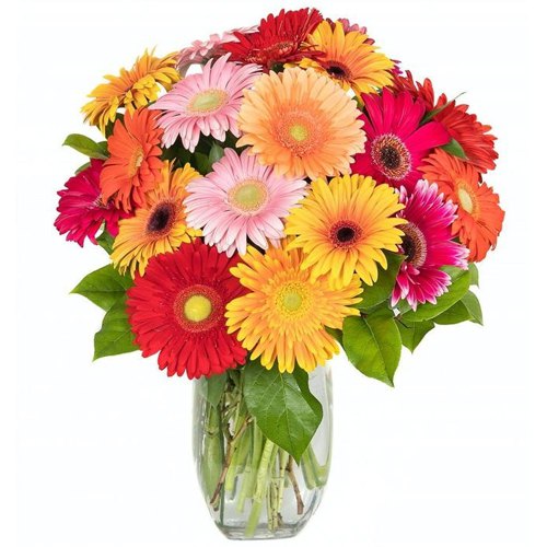 Lovely Gerberas Vase Arrangement Lovely Gerberas Vase Arrangement