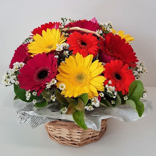 Beautiful Gift Basket of Mixed Gerberas Beautiful Gift Basket of Mixed Gerberas