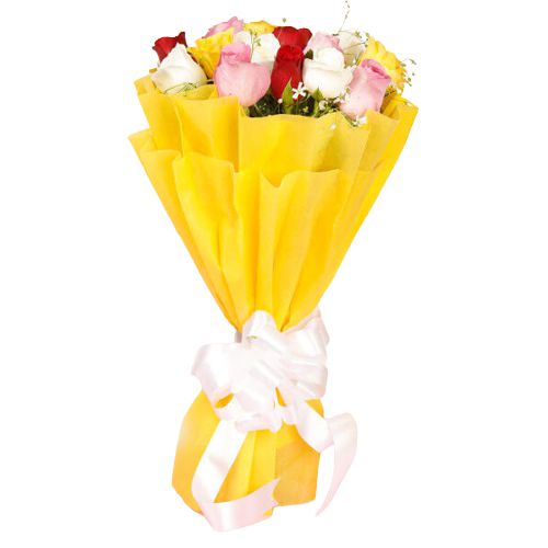 Colorful Roses Elegance Colorful Roses Elegance