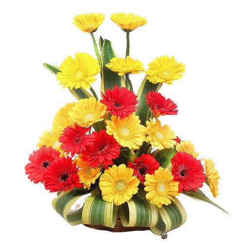 Mixed Color Roses in a Vase Mixed Color Roses in a Vase