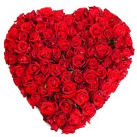 Magnificent Heart Shaped 150 Dutch Red Roses Arrangement of Love Magnificent Heart Shaped 150 Dutch Red Roses Arrangement of Love