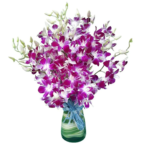 Attractive Gift of Orchids in Vase