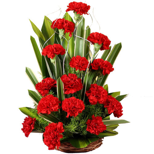 Amazing Red Carnations Basket Amazing Red Carnations Basket