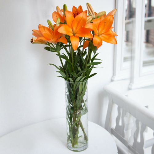Vibrant Color Lilies in Glass Vase Vibrant Color Lilies in Glass Vase
