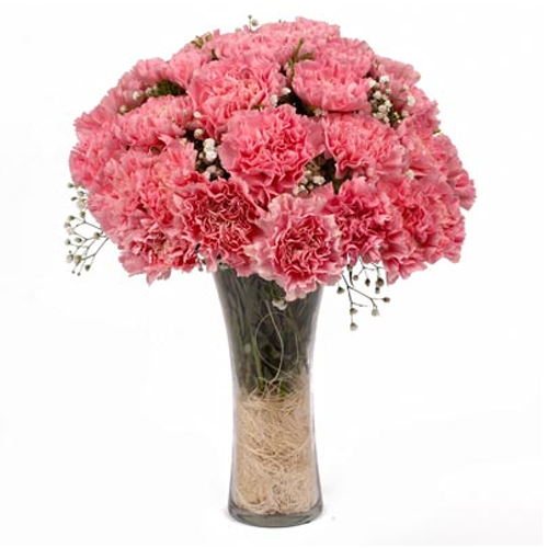 Lovely Pink Carnations in a Vase Lovely Pink Carnations in a Vase