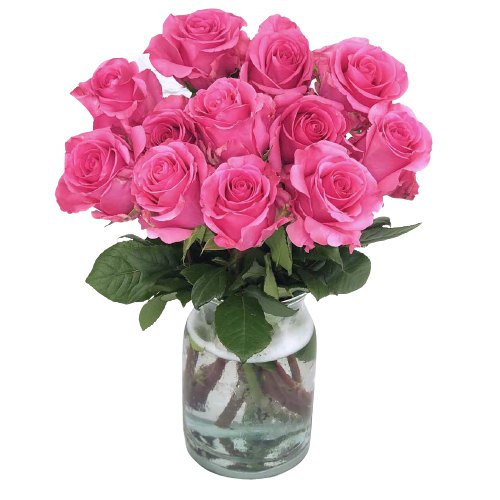 Fresh Pink Roses in Vase Fresh Pink Roses in Vase