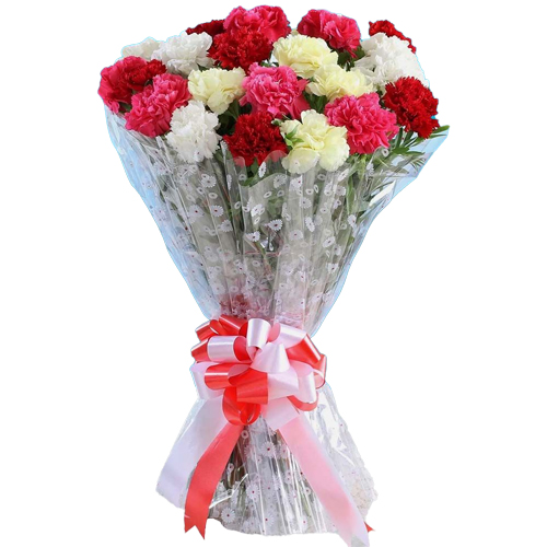 Long Stem Mixed Carnations Bunch Long Stem Mixed Carnations Bunch