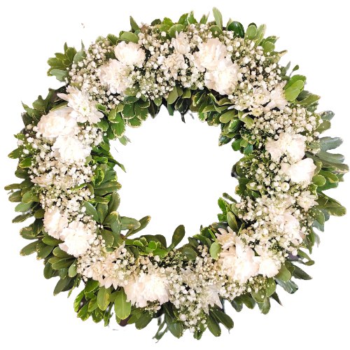 Pretty Wreath of Carnations Pretty Wreath of Carnations