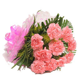 Special Bunch of Pink Carnations Special Bunch of Pink Carnations