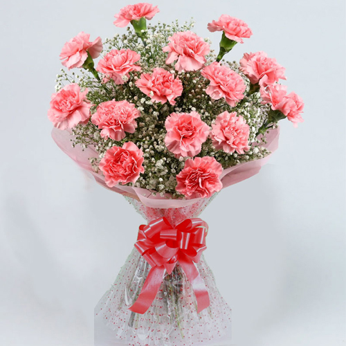Awesome Bunch of Pink Carnations Awesome Bunch of Pink Carnations