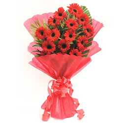Stunning Red Gerberas Bouquet Stunning Red Gerberas Bouquet
