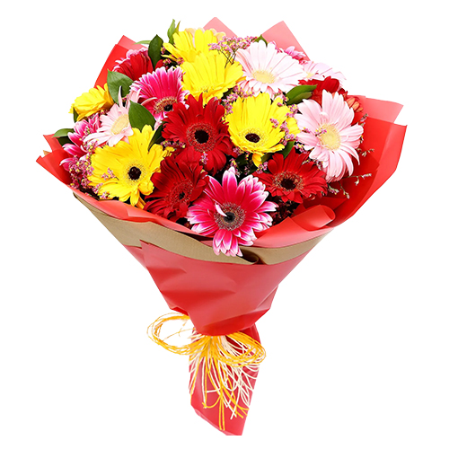 Elegant Collection of Mixed Gerberas