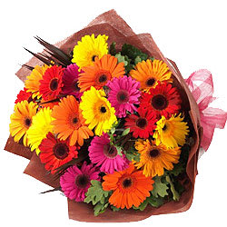Attractive Bouquet of Mixed Gerberas Attractive Bouquet of Mixed Gerberas
