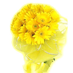 Special Yellow Gerberas Bouquet Special Yellow Gerberas Bouquet