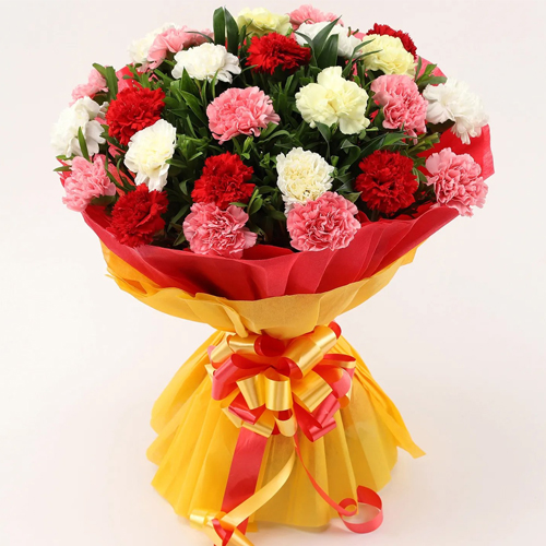 10 Mixed Carnations Tissue Wrapped Bouquet 10 Mixed Carnations Tissue Wrapped Bouquet