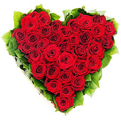 Heart Shaped Arrangement of Dutch Roses Heart Shaped Arrangement of Dutch Roses