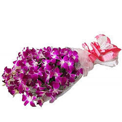 Luxury Bunch of Purple Orchids Luxury Bunch of Purple Orchids